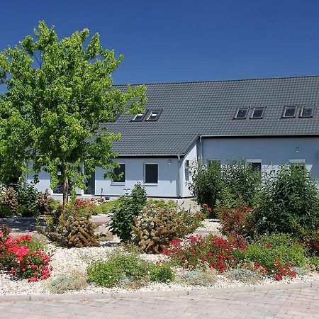 Hédervári Lovas Vendégház Exterior foto