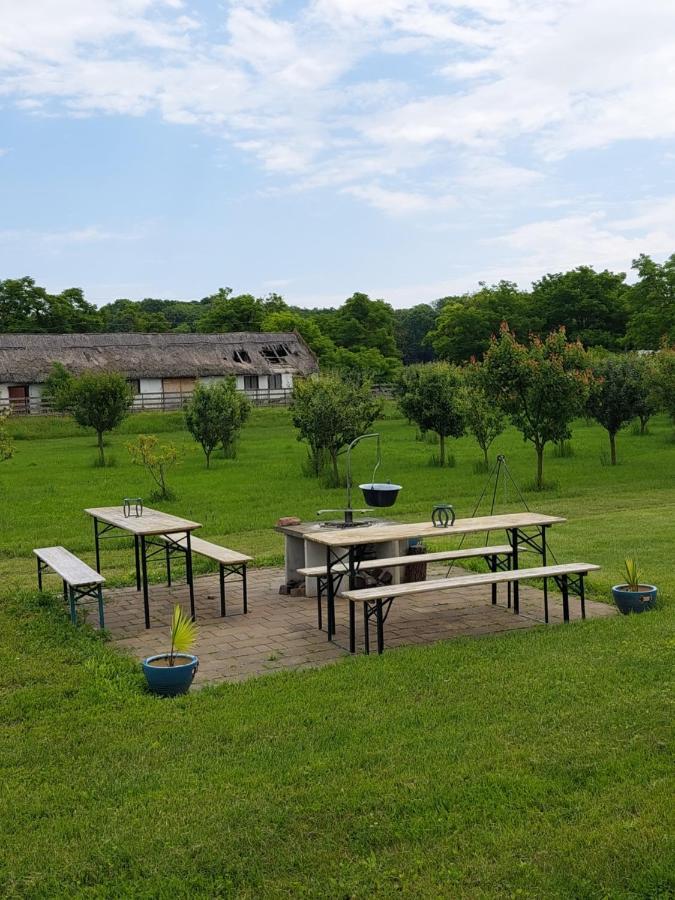 Hédervári Lovas Vendégház Exterior foto